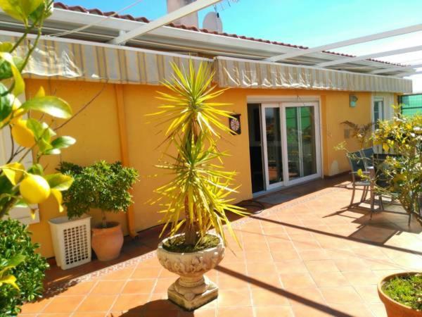 Apartamentos Merida Center Dış mekan fotoğraf